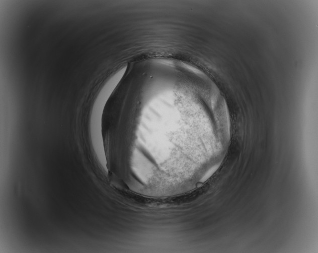 X0000087550742200705251740