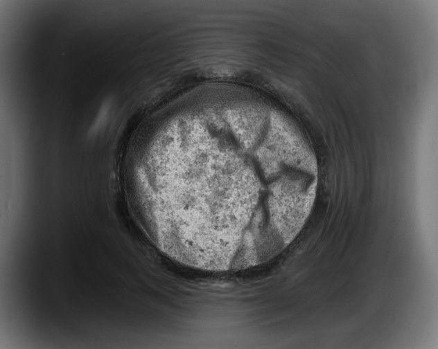 X0000087550743200705251740