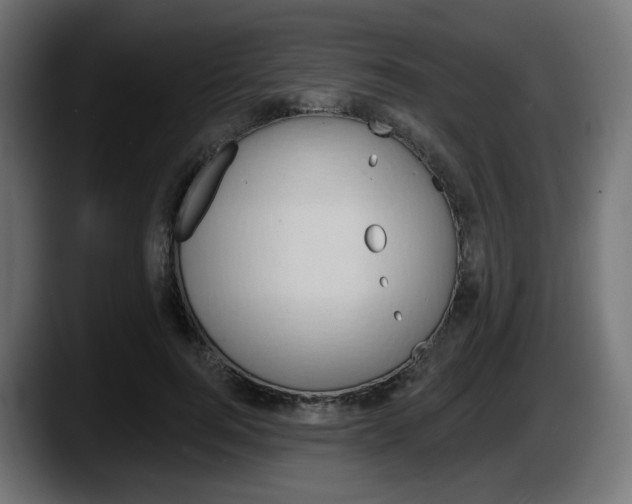 X0000087550744200705251740