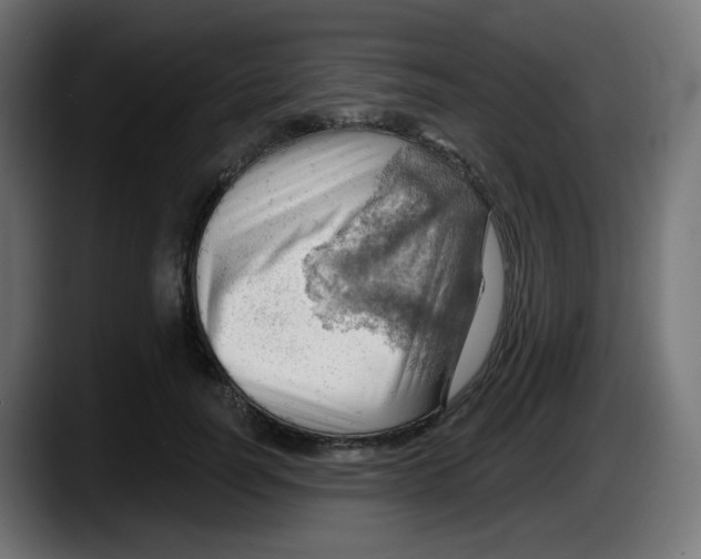 X0000087550746200705251740
