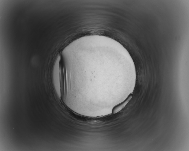 X0000087550748200705251740