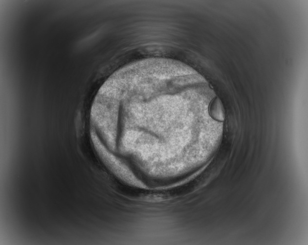 X0000087550751200705251740
