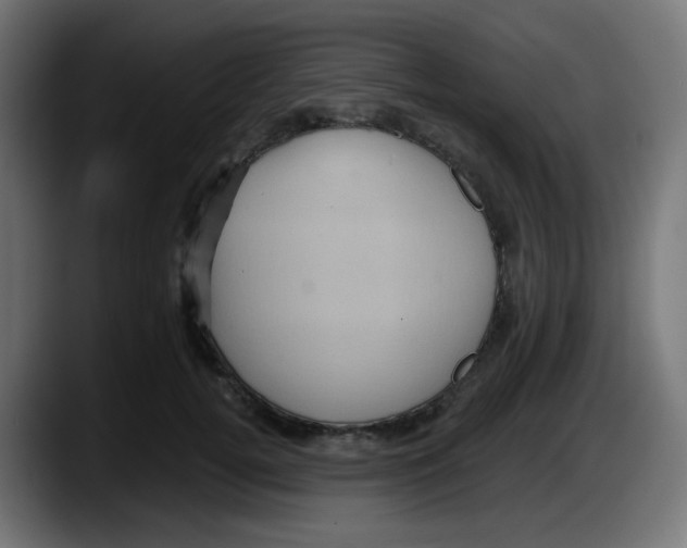 X0000087550752200705251740