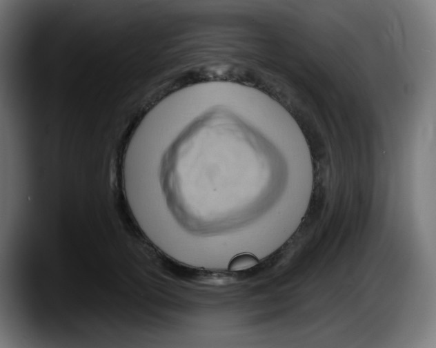 X0000087550754200705251740