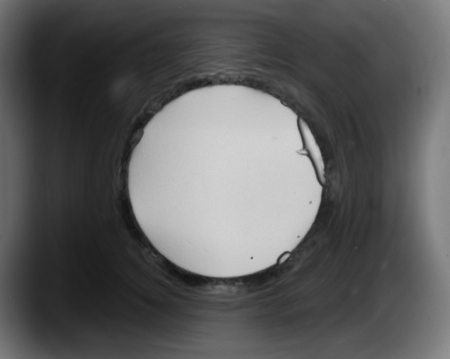 X0000087550756200705251740