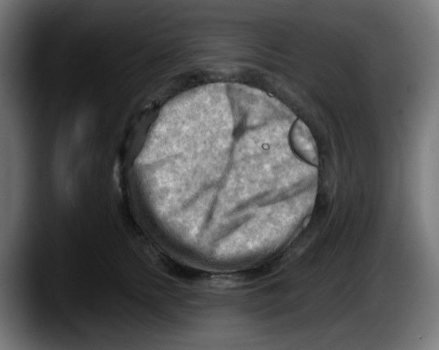 X0000087550758200705251740