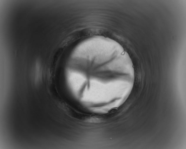 X0000087550759200705251740