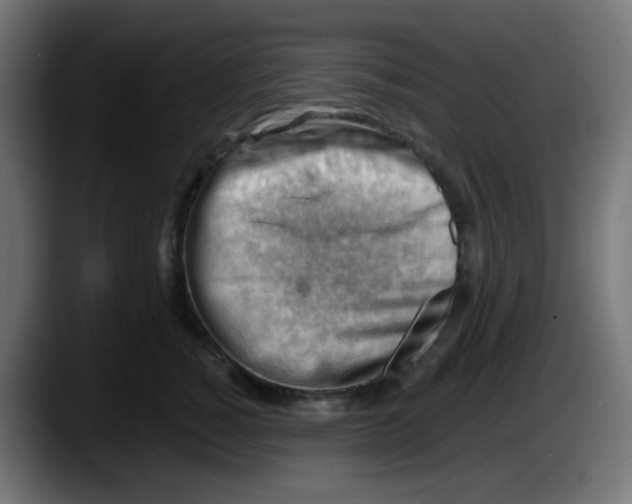 X0000087550760200705251740