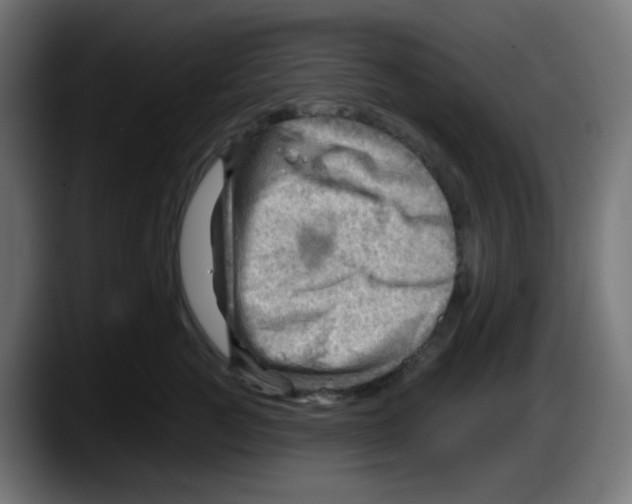 X0000087550761200705251740