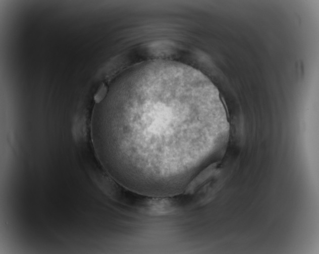 X0000087550762200705251740