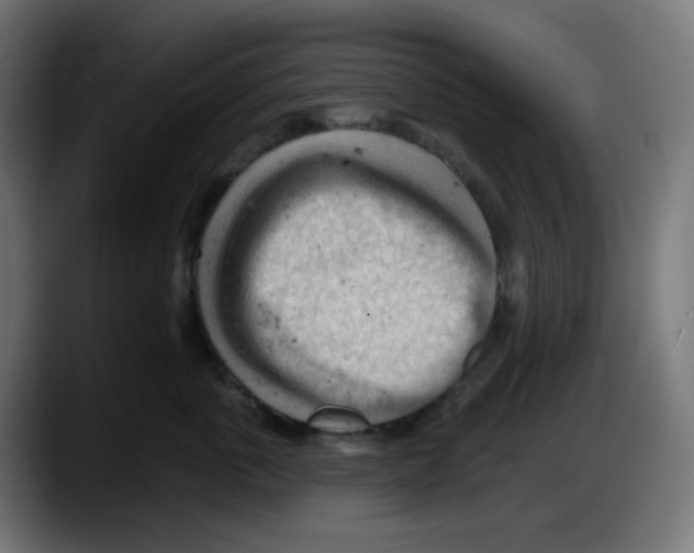 X0000087550763200705251740