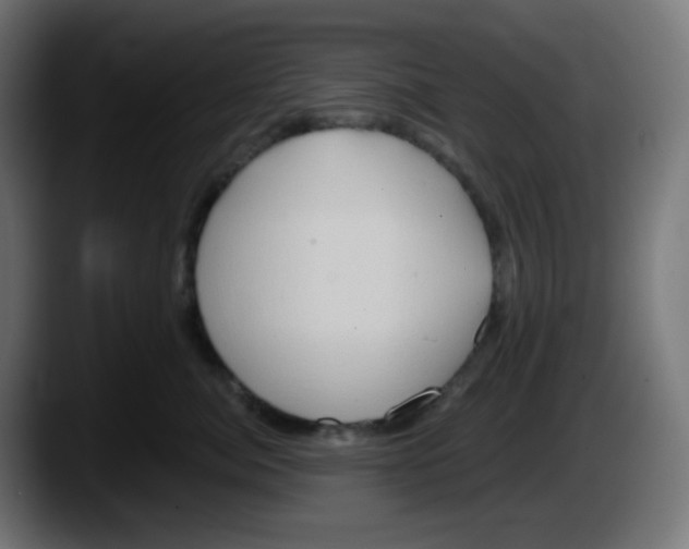 X0000087550764200705251740