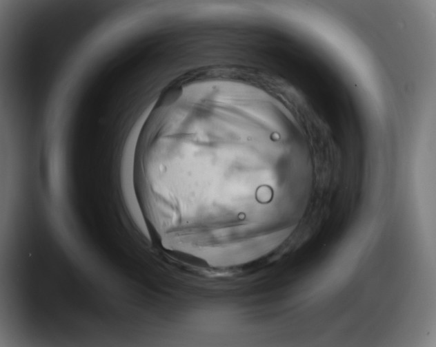 X0000087550765200705251740