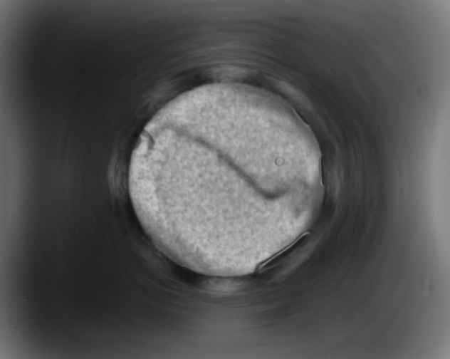 X0000087550766200705251740