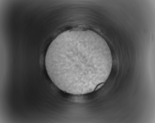 X0000087550767200705251740