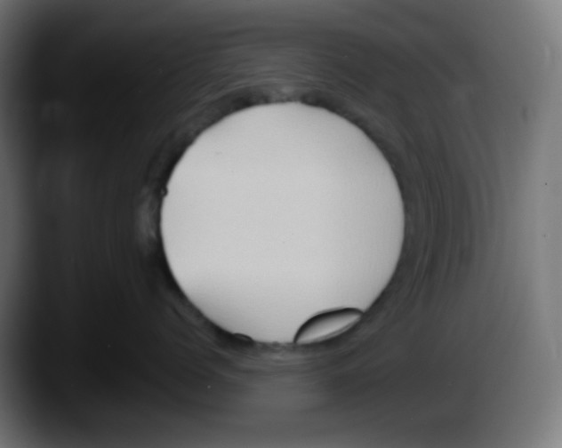 X0000087550768200705251740