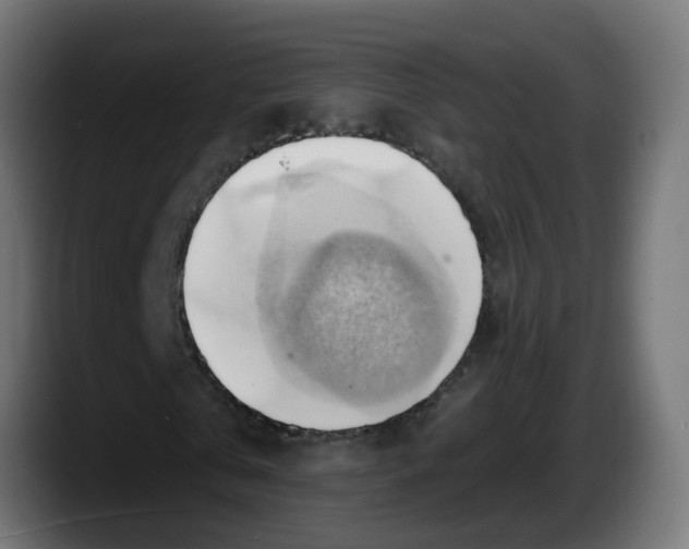 X0000087550769200705251739