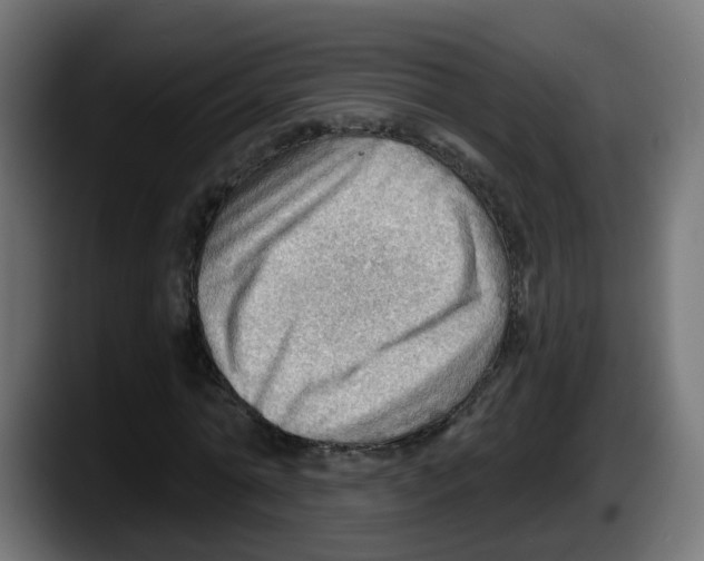 X0000087550774200705251739