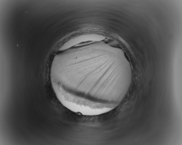 X0000087550775200705251739
