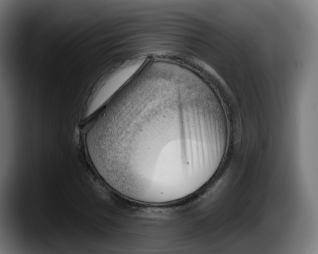 X0000087550777200705251739