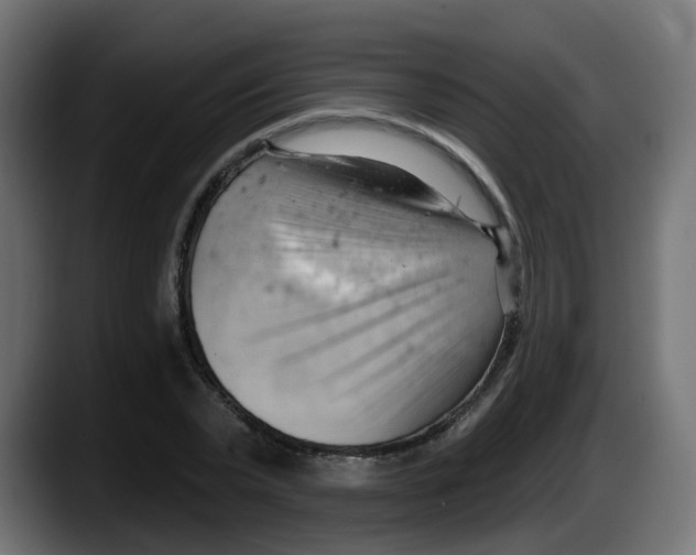 X0000087550783200705251739