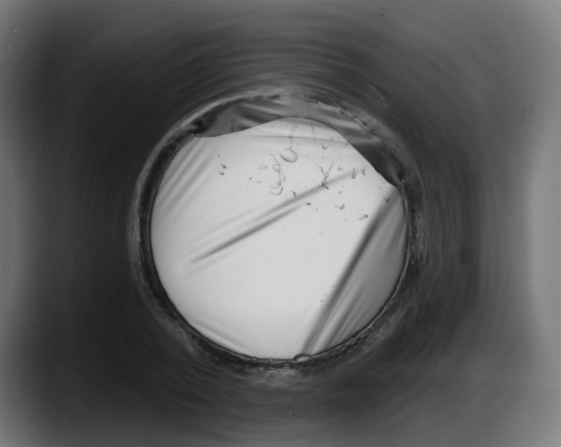 X0000087550784200705251739