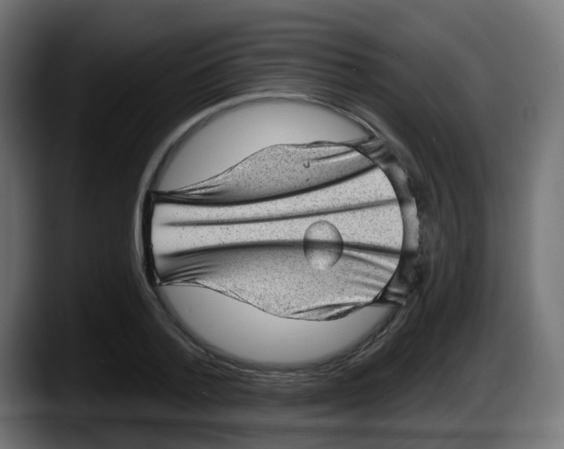 X0000087550788200705251739