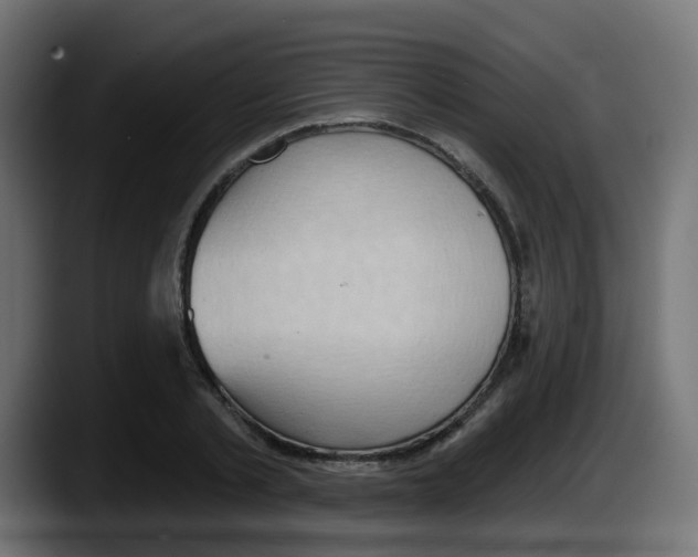 X0000087550789200705251739