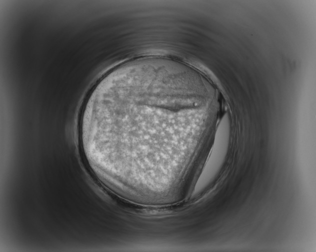 X0000087550795200705251739
