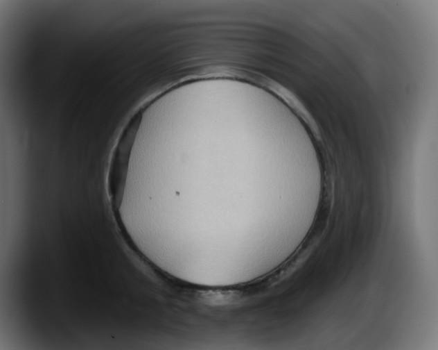 X0000087550805200705251739