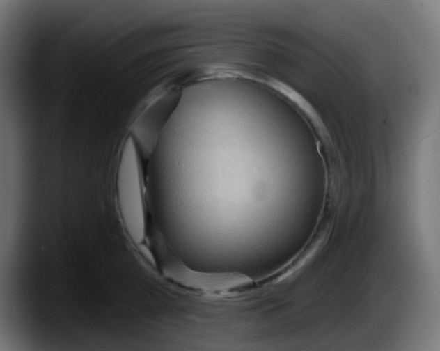 X0000087550809200705251739