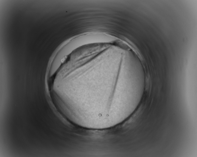 X0000087550812200705251739
