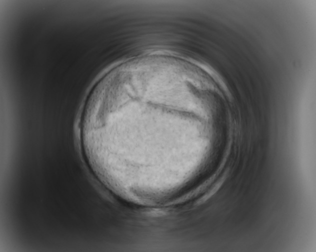 X0000087550814200705251739