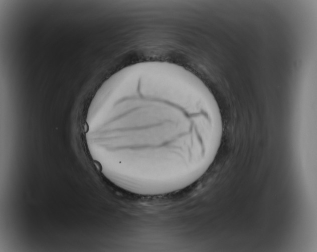 X0000087550817200705251738