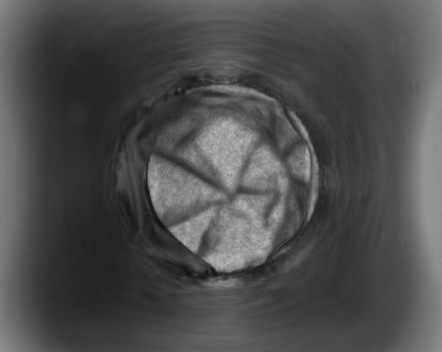 X0000087550818200705251738