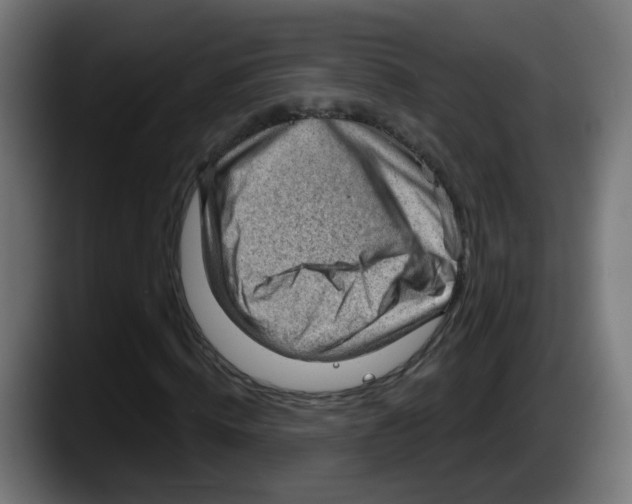 X0000087550820200705251738