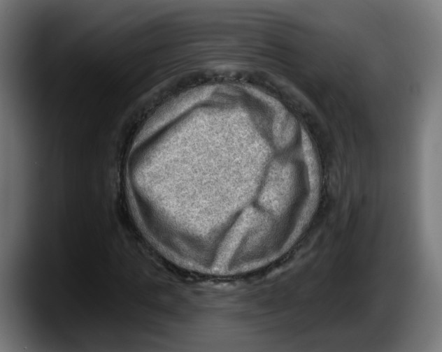 X0000087550821200705251738