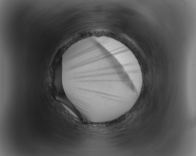 X0000087550823200705251738
