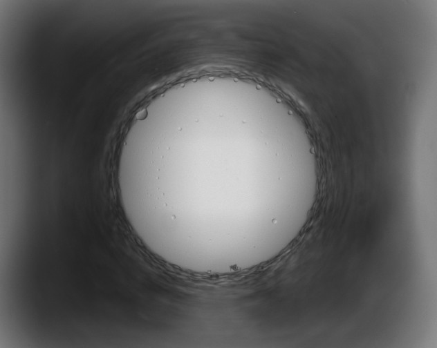 X0000087550824200705251738