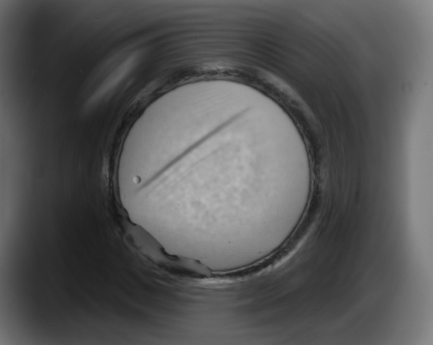 X0000087550825200705251738