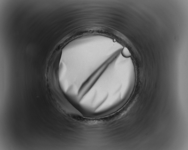 X0000087550826200705251738