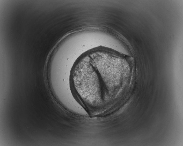 X0000087550828200705251738