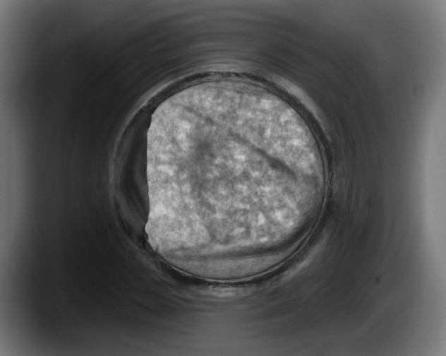 X0000087550829200705251738