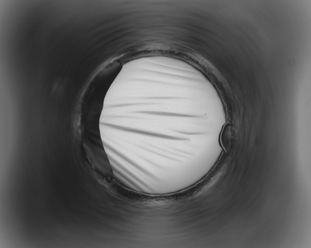 X0000087550830200705251738