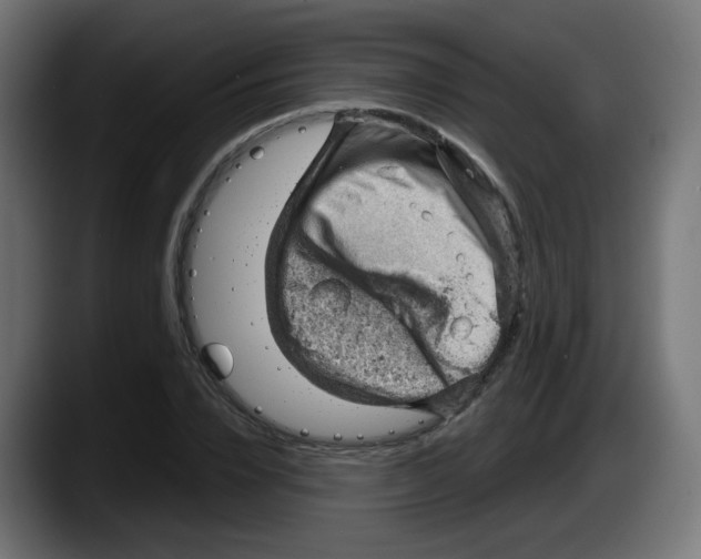 X0000087550832200705251738