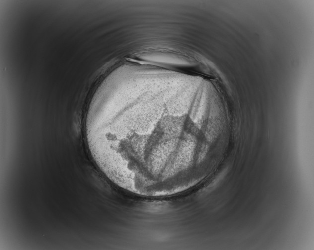 X0000087550833200705251738