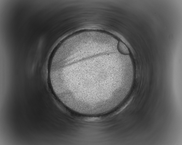 X0000087550837200705251738