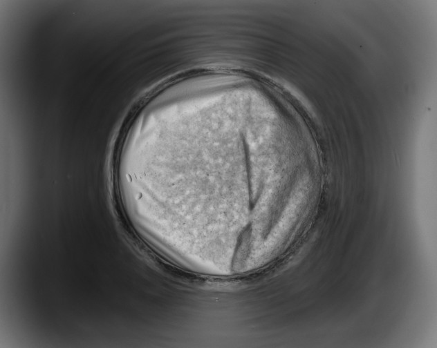 X0000087550840200705251738