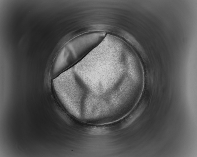 X0000087550842200705251738