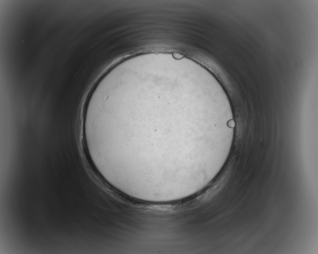 X0000087550844200705251738
